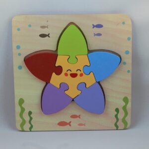 Wooden Star Puzzle